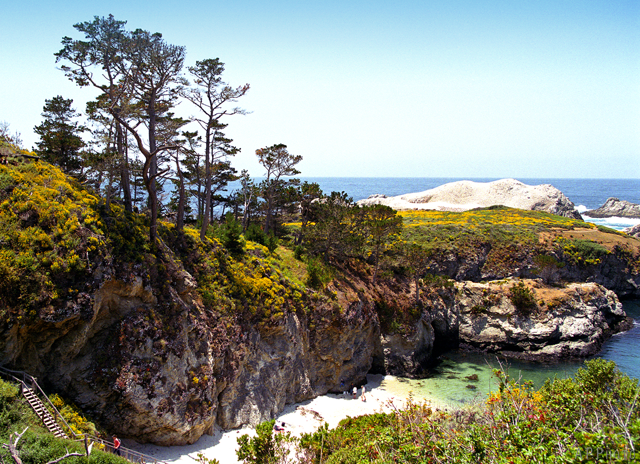 Point Lobos 2