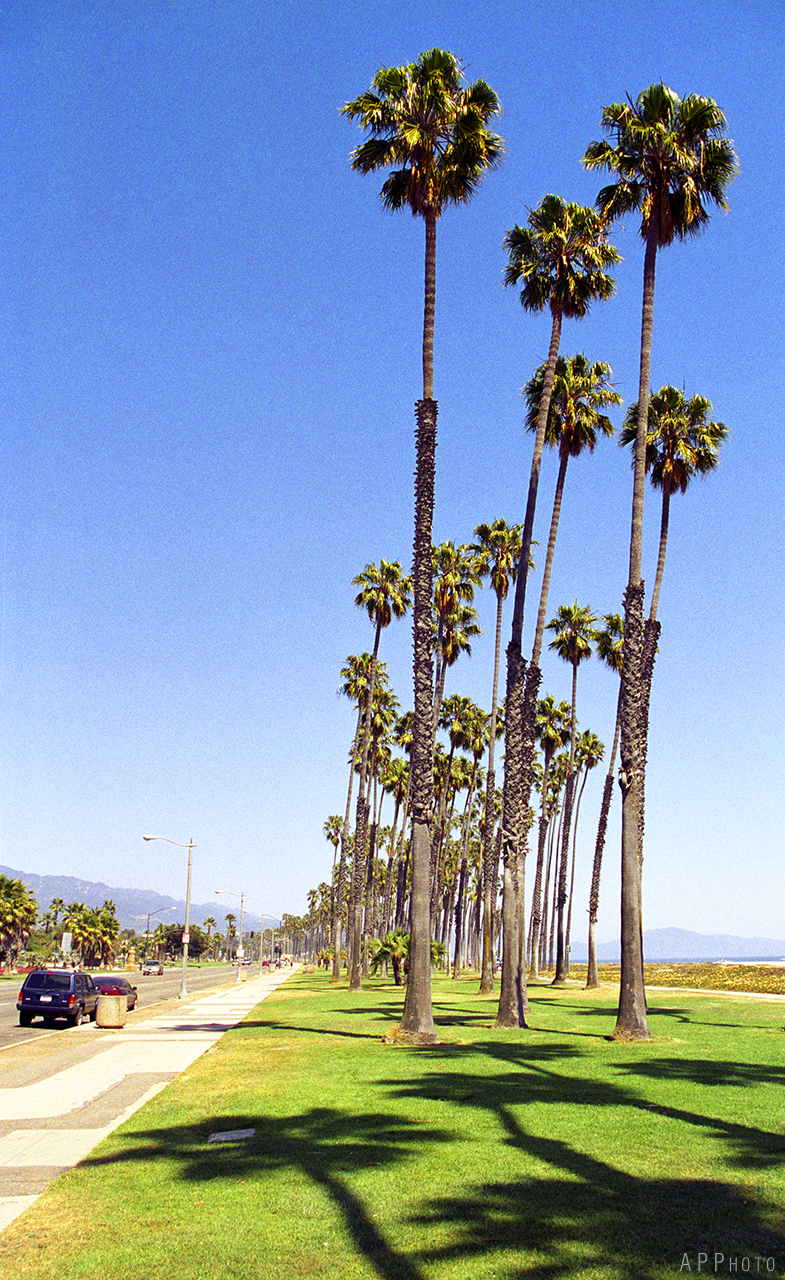 Santa Barbara 5